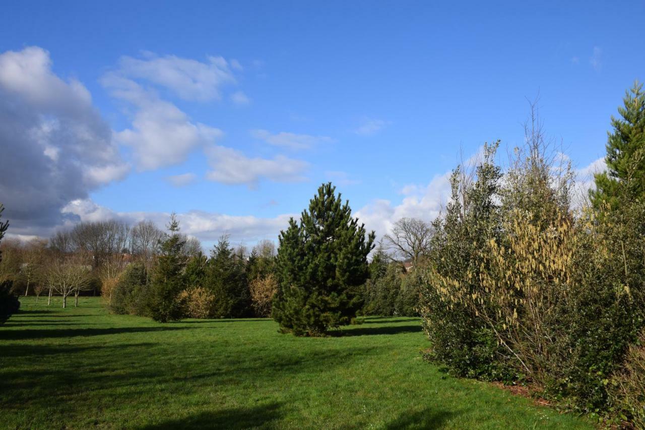 Appartement Avec Rez De Jardin A Disneyland Montévrain Dış mekan fotoğraf